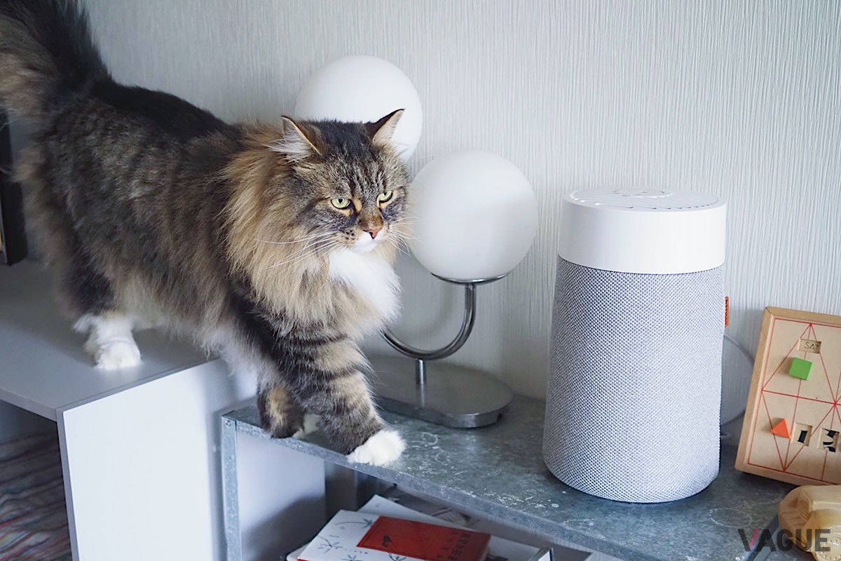 ペットの匂いが気になるならぜひ試してもらいたい