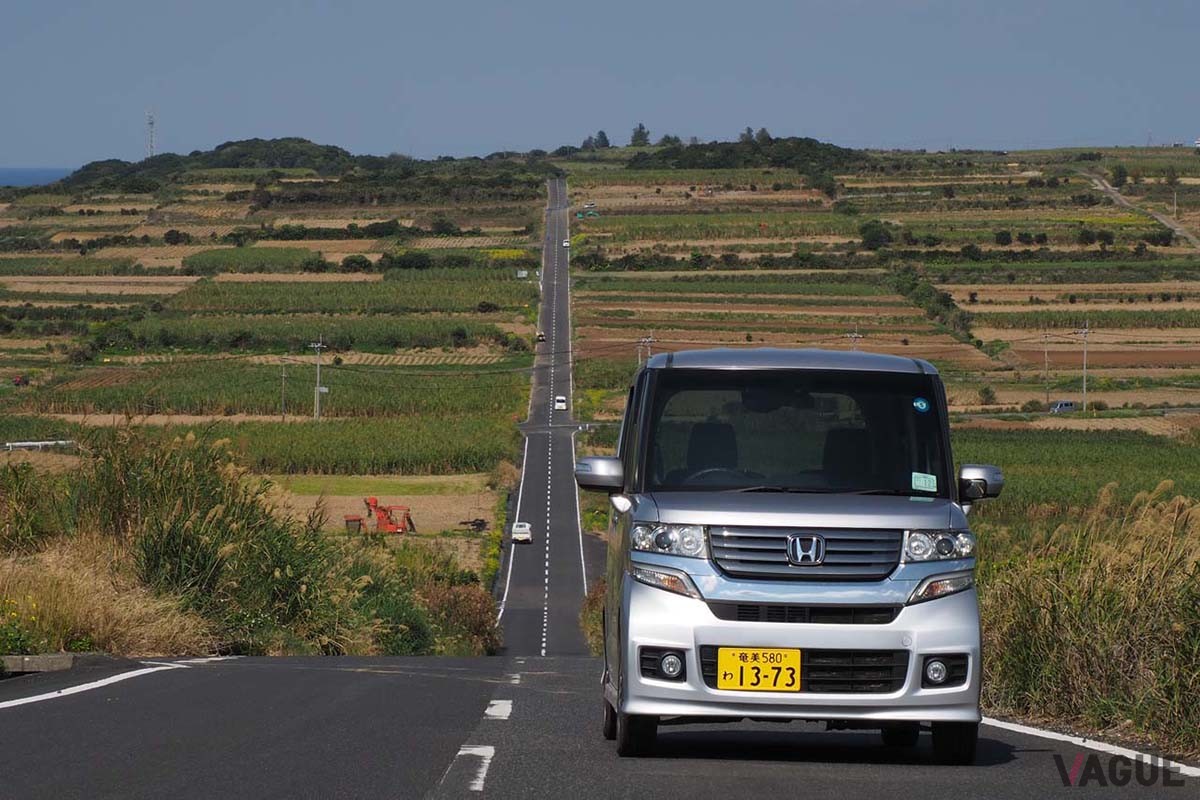 島内の畑はほぼサトウキビで占められる。畑はきれいに区画され、このエリアの道路も真っ直ぐで気持ちがいい