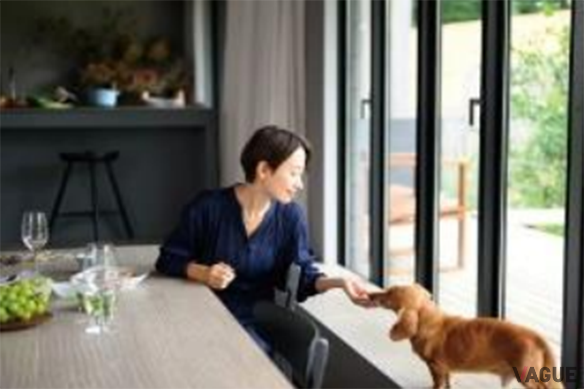 愛犬と滞在も可能「山ノ麓」