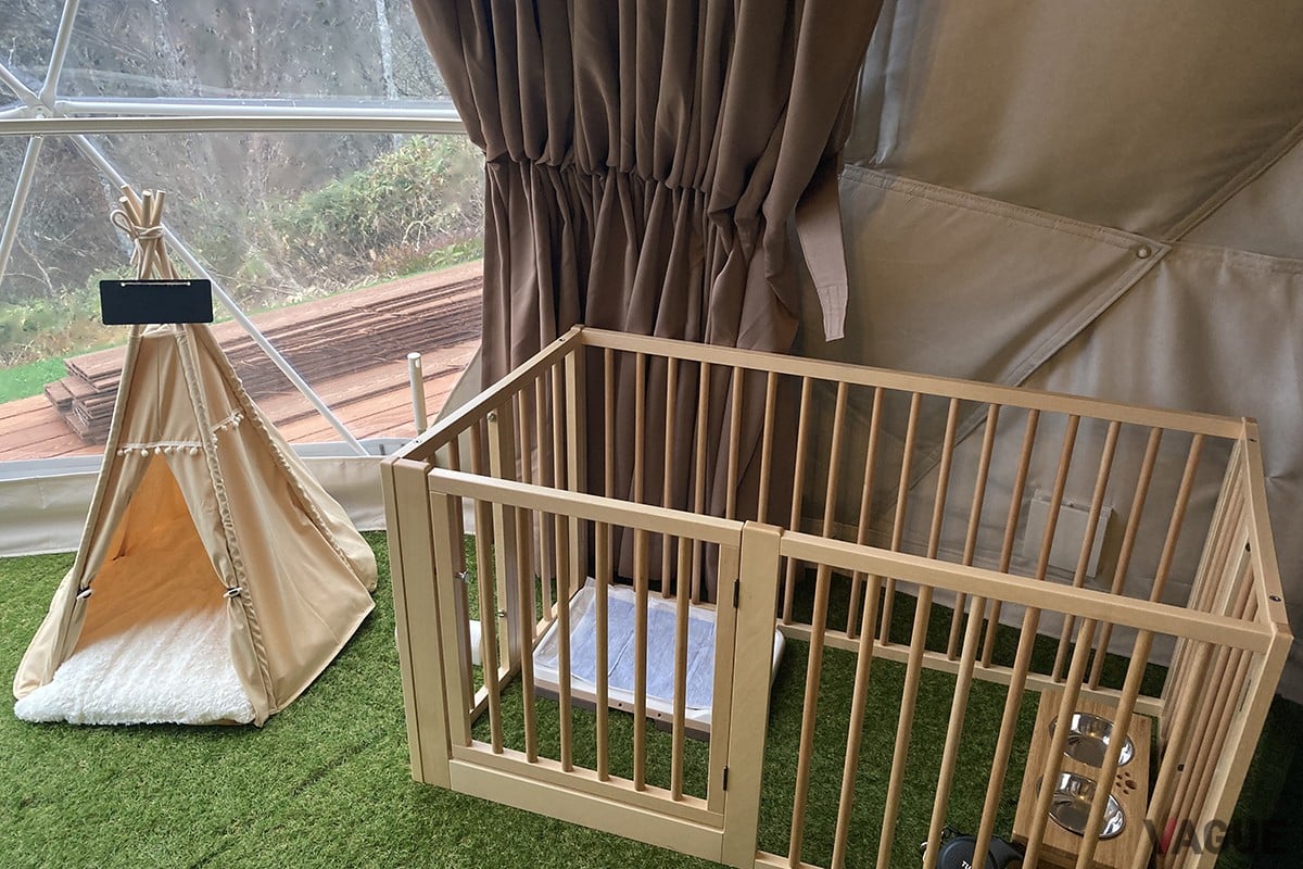 小型犬用のゲージ
