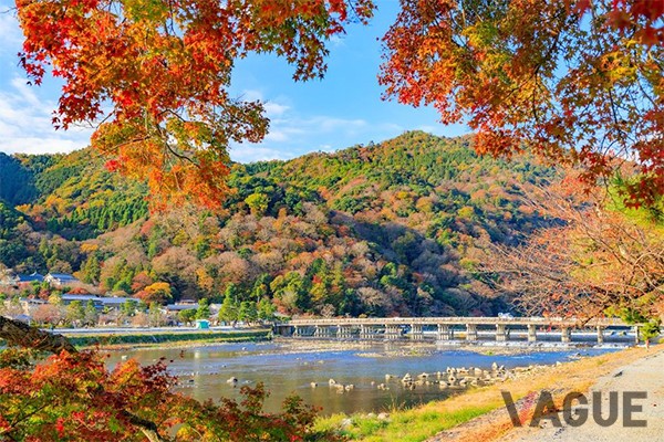 2位：京都「京都府」
