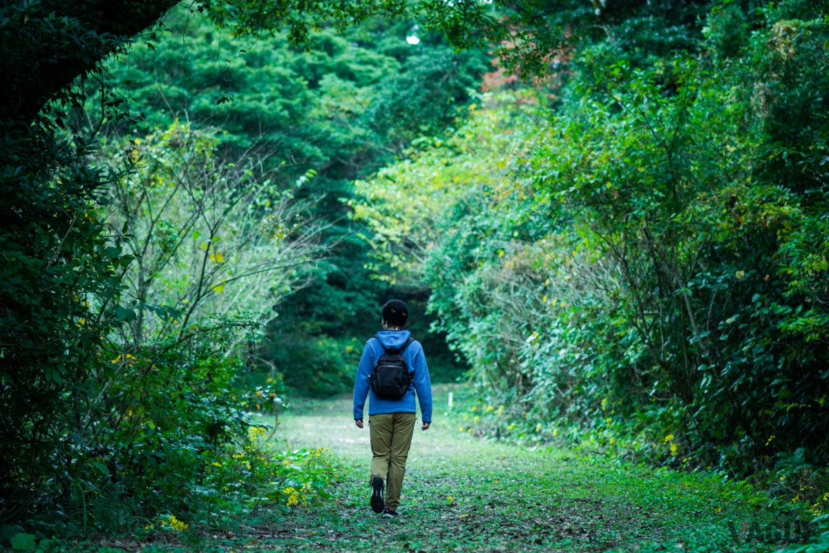 ホテルの周りを散策