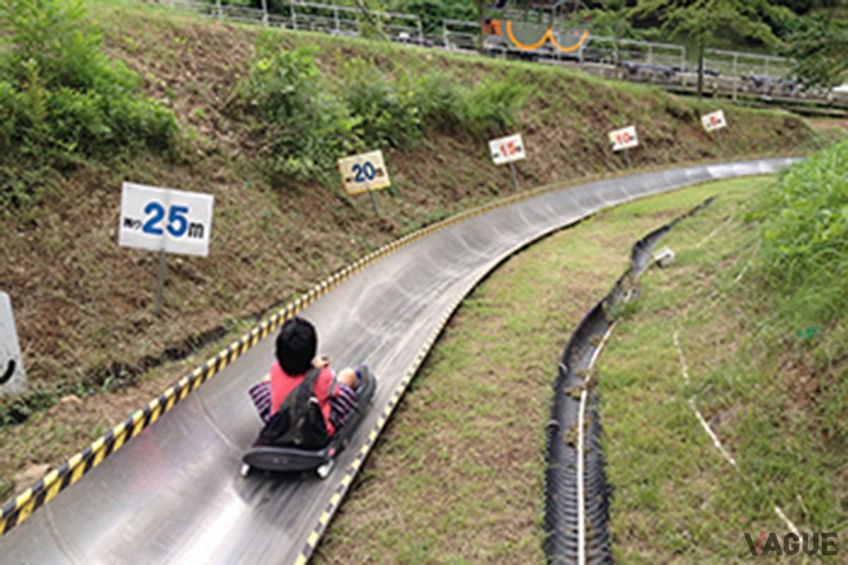 7位：ぐんまこどもの国 サマーボブスレー【群馬県】