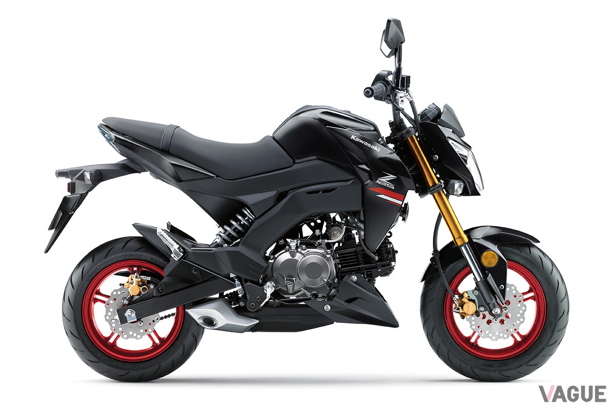 カワサキ「Z125 PRO」