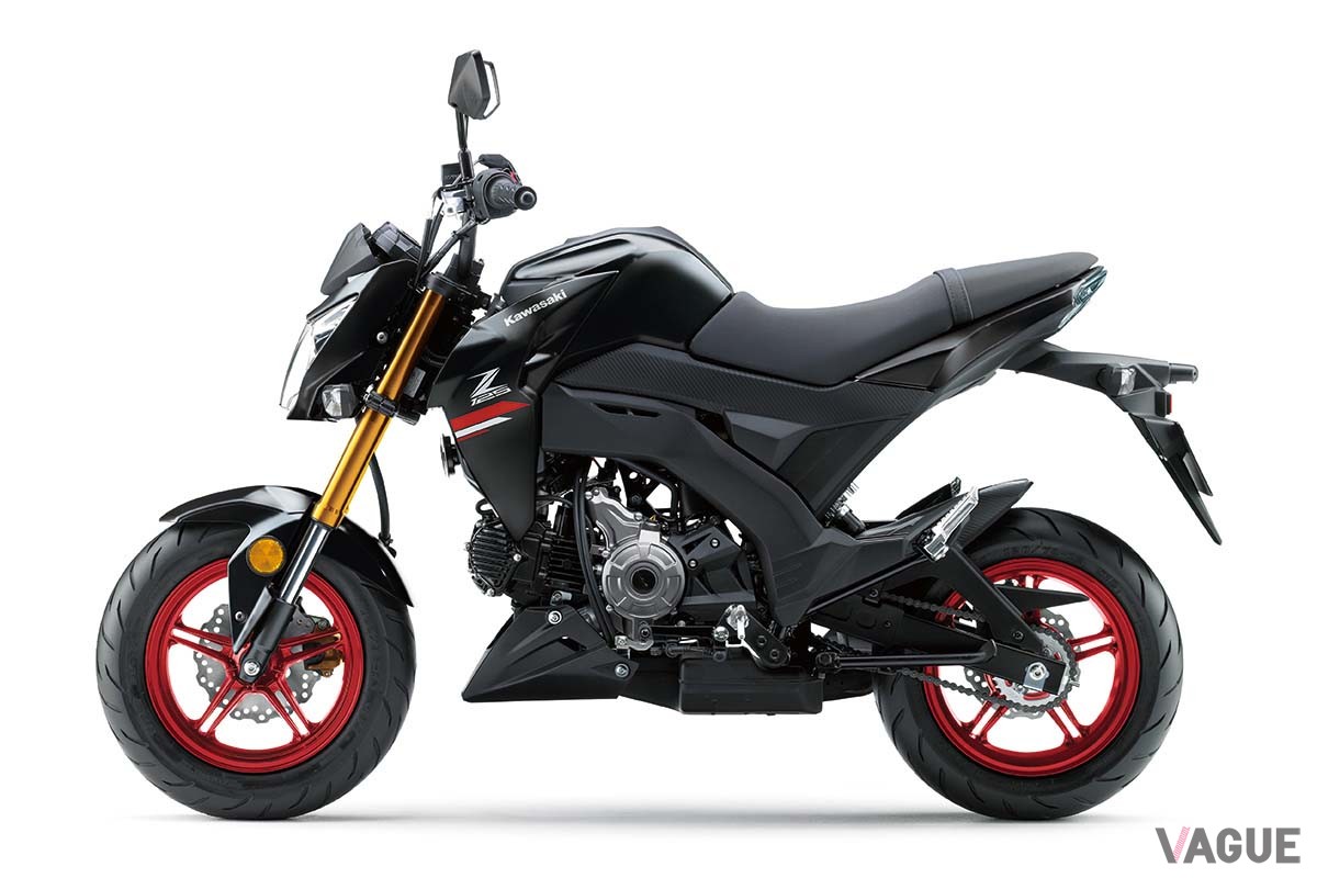 カワサキ「Z125 Pro」