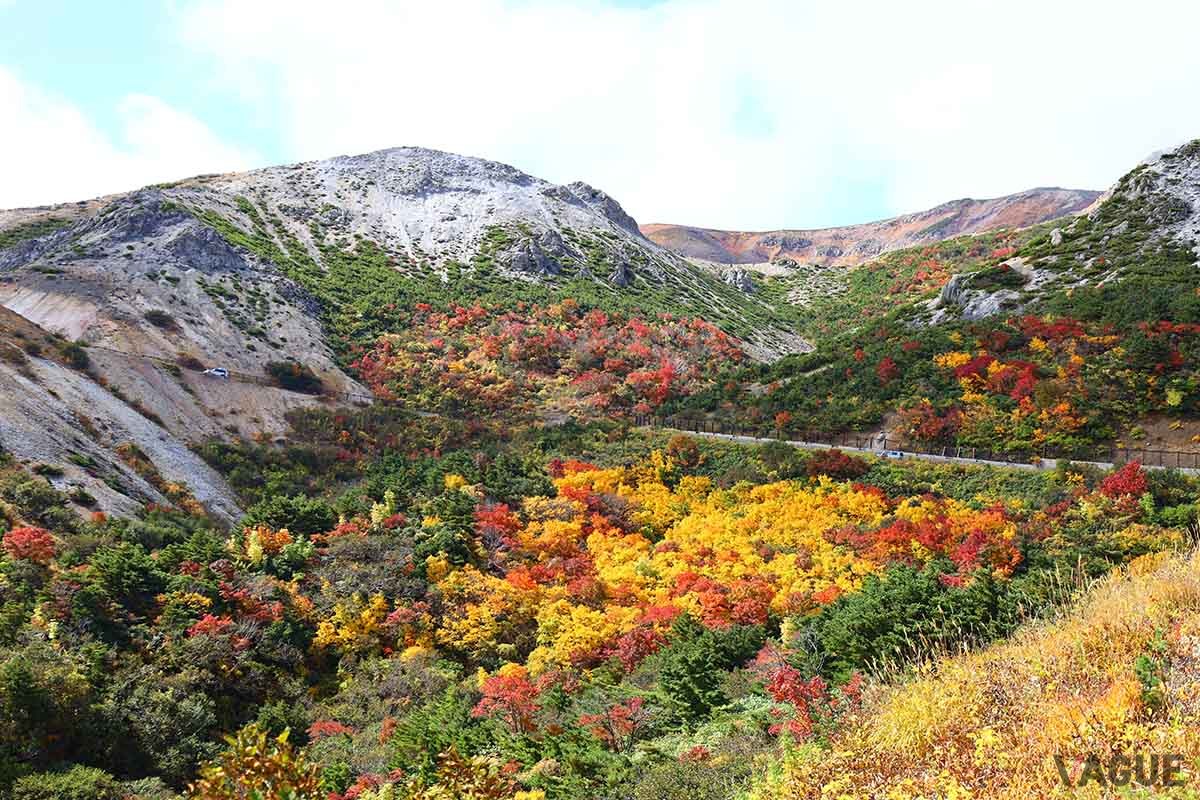 福島・磐梯吾妻スカイラインの浄土平の紅葉。10月下旬から見頃を迎える