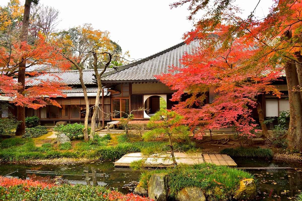 紅葉で有名な鎌倉・明月院。夏にはあじさいが有名なことから「あじさい寺」とも呼ばれる