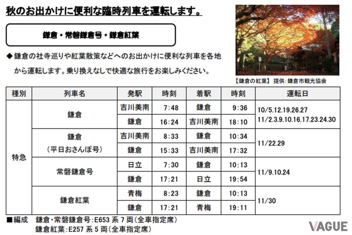 秋の臨時列車、特急鎌倉号の運転日