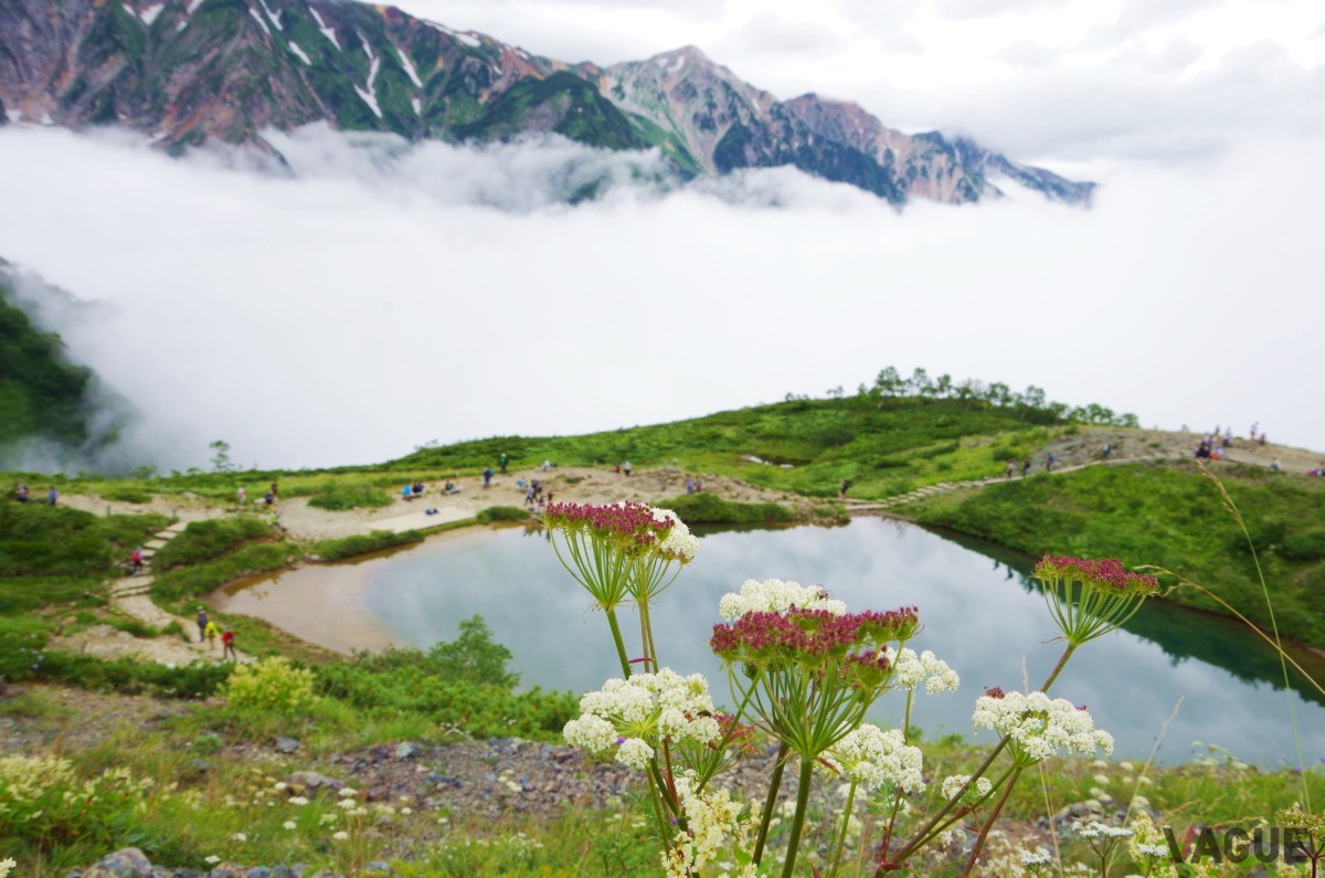 白馬村