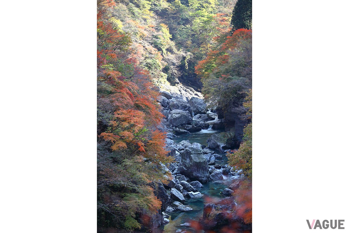 紅葉名所「金蔵落しの渓流」