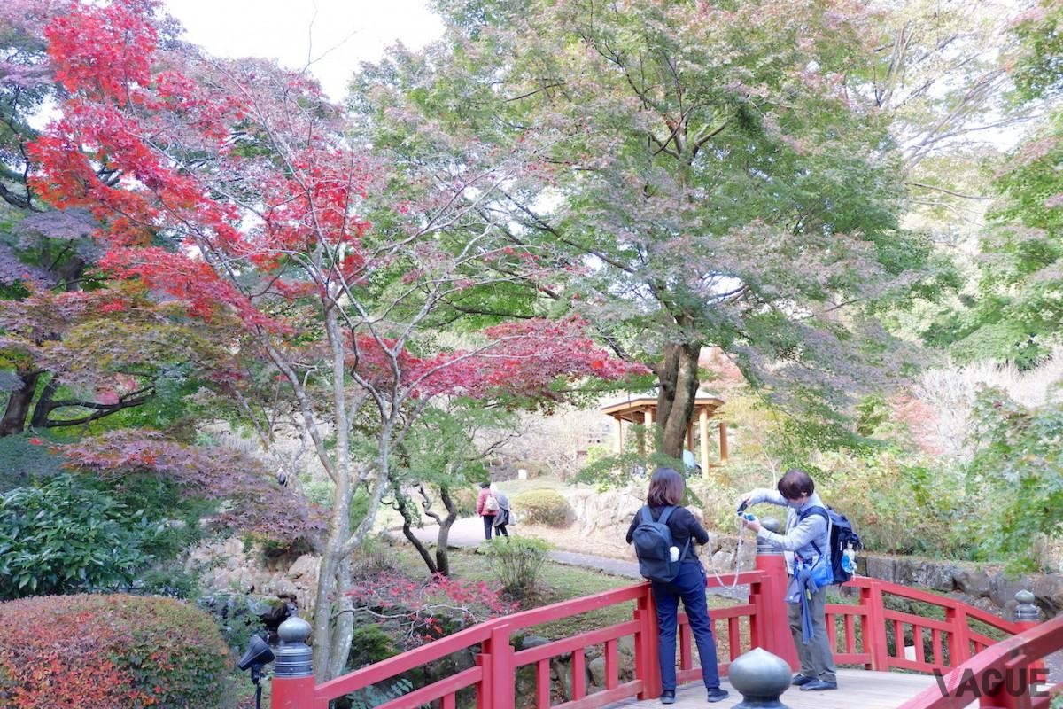 紅葉も楽しめる「熱海梅園」