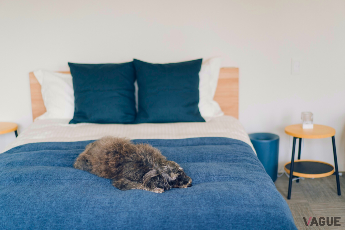 全室愛犬可の部屋を用意