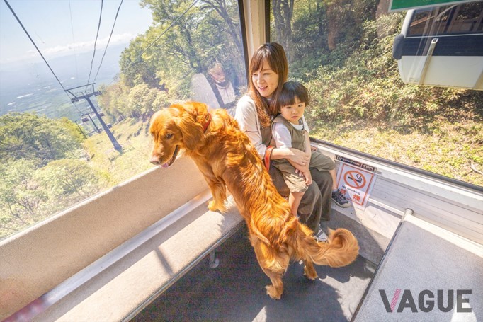 ゴンドラはペットも同乗可能