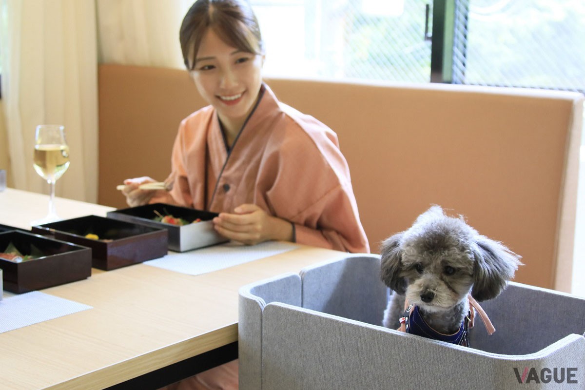愛犬同伴OKのレストラン