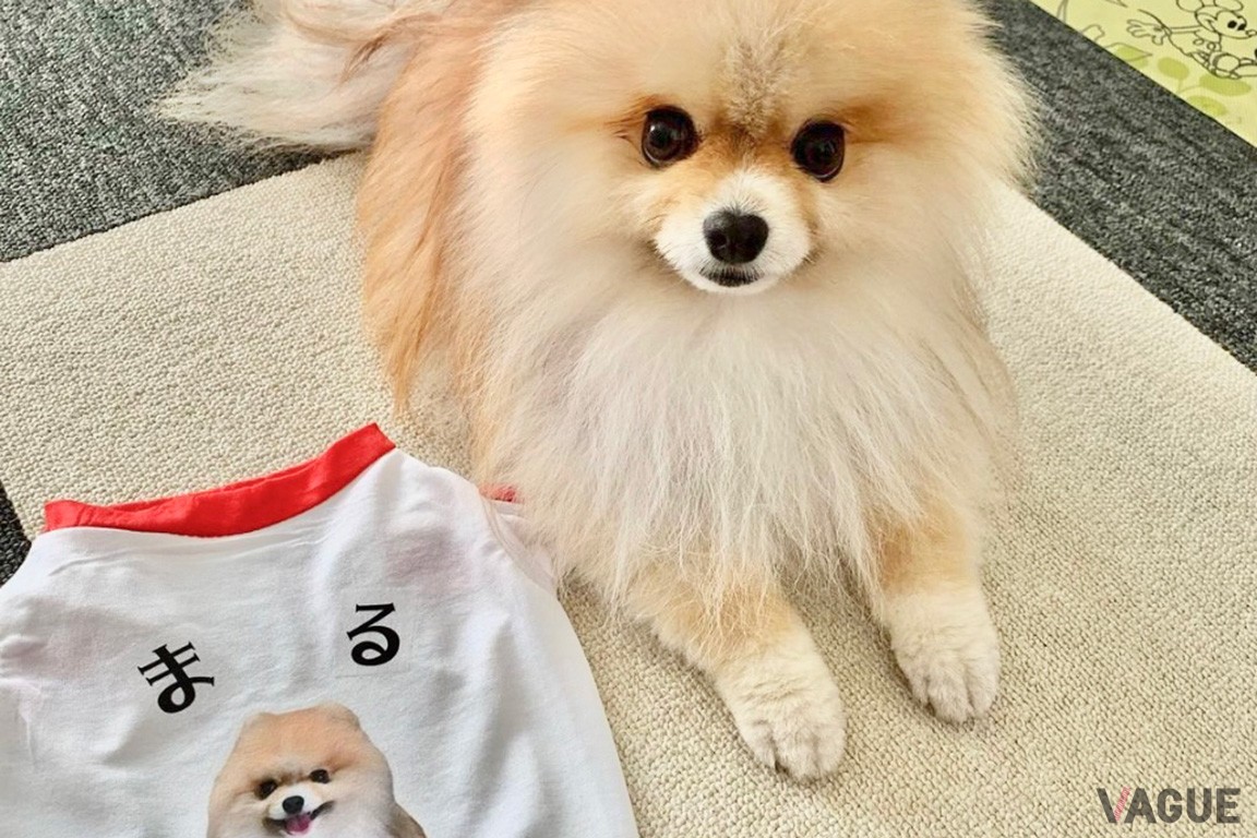 ワンちゃん用オリジナルTシャツ作り