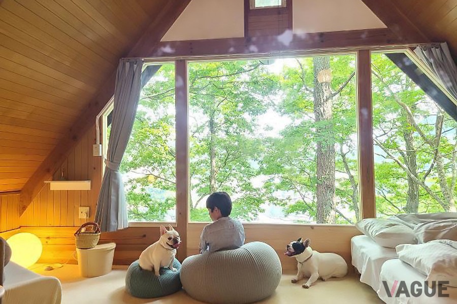 三角屋根のコテージ