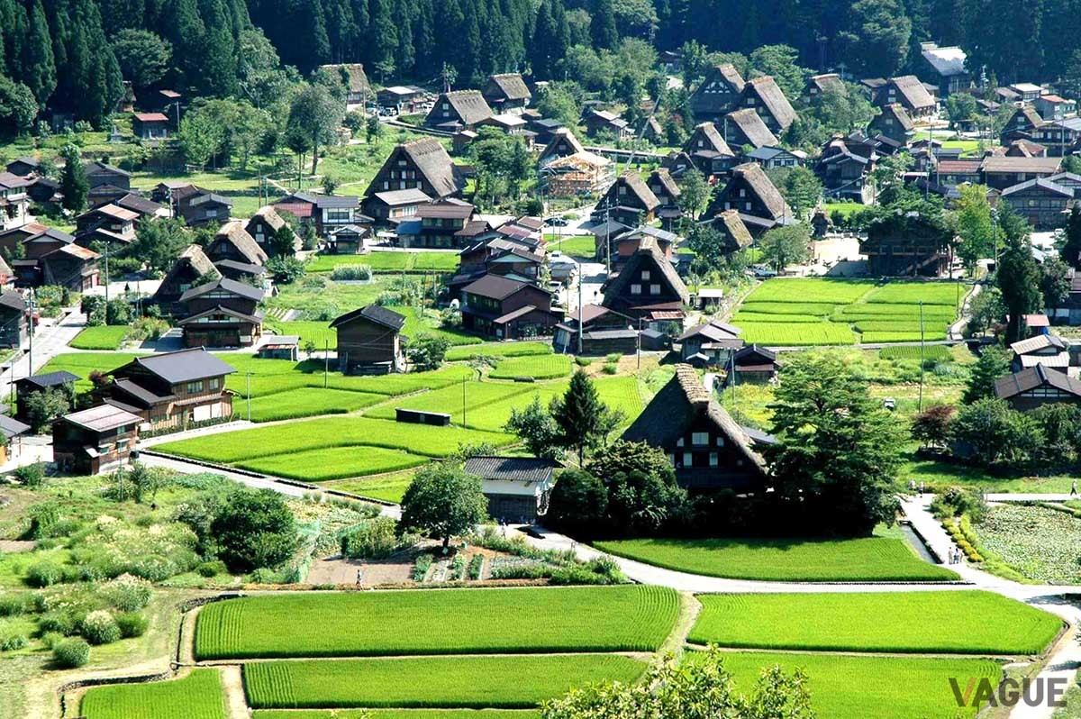 木の梁を山形に組み合わせる「合掌造り」が特徴的な白川郷