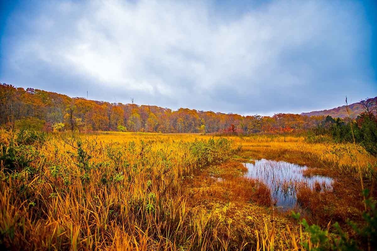 秋田県と岩手県にまたがる「八幡平」
