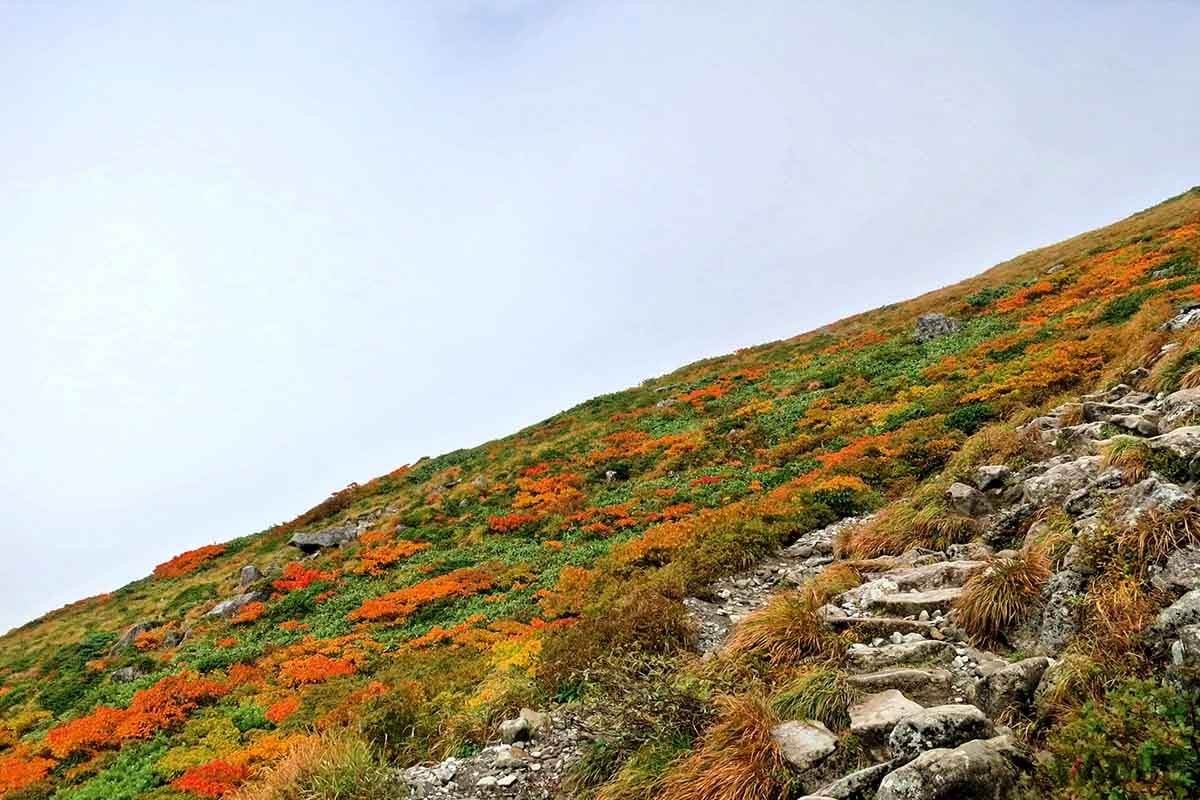 山形県にある「月山」