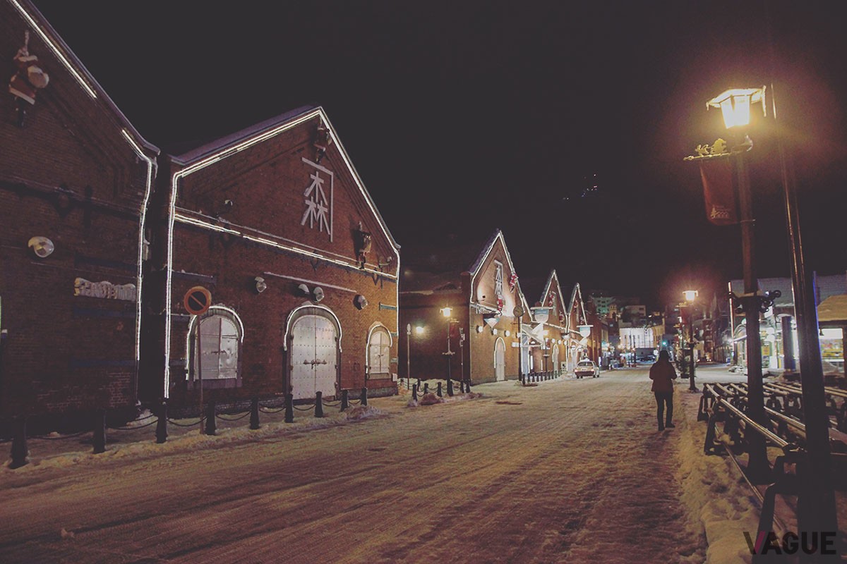 冬の函館市の風景
