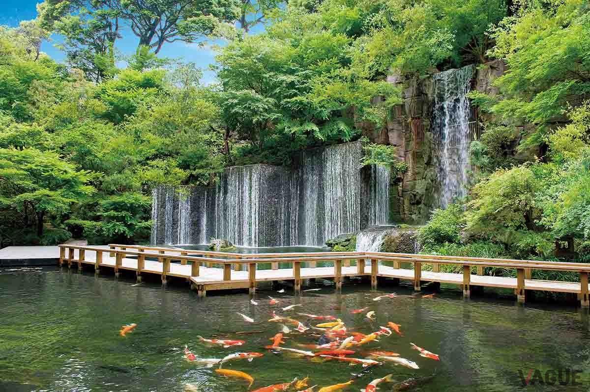 庭園