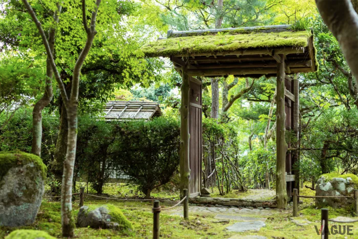 茶室へと向かう小門