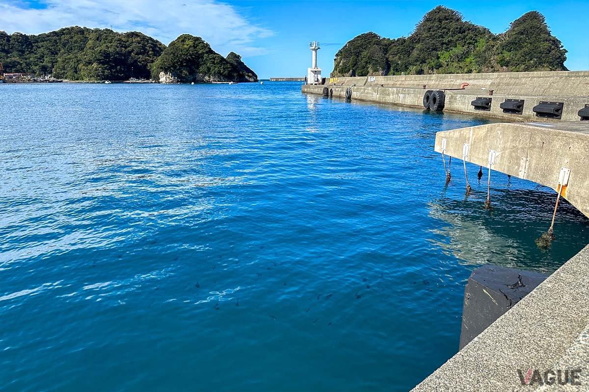堤防の足元に落とすだけで釣れるブラクリは初心者必携の仕掛けです