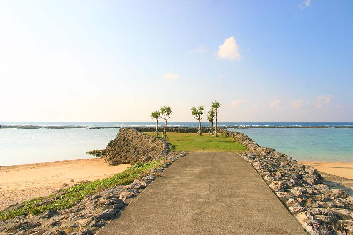徳之島