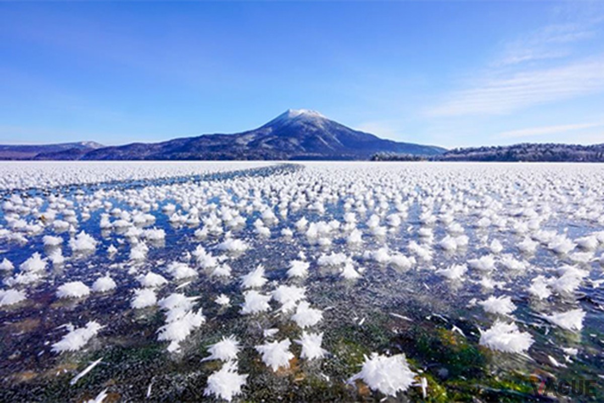 6位：阿寒湖のフロストフラワー【北海道】