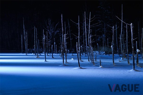 7位：白金青い池の雪景色【北海道】