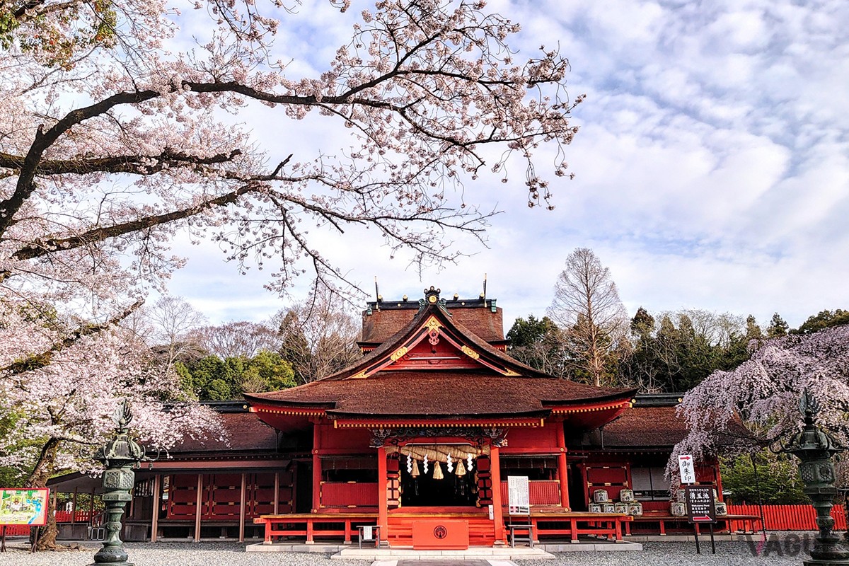 富士山本宮浅間大社　拝殿　