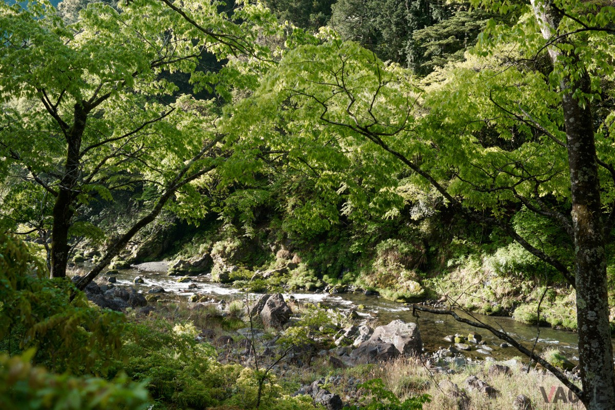 Satologueから望む多摩川支流の流れ