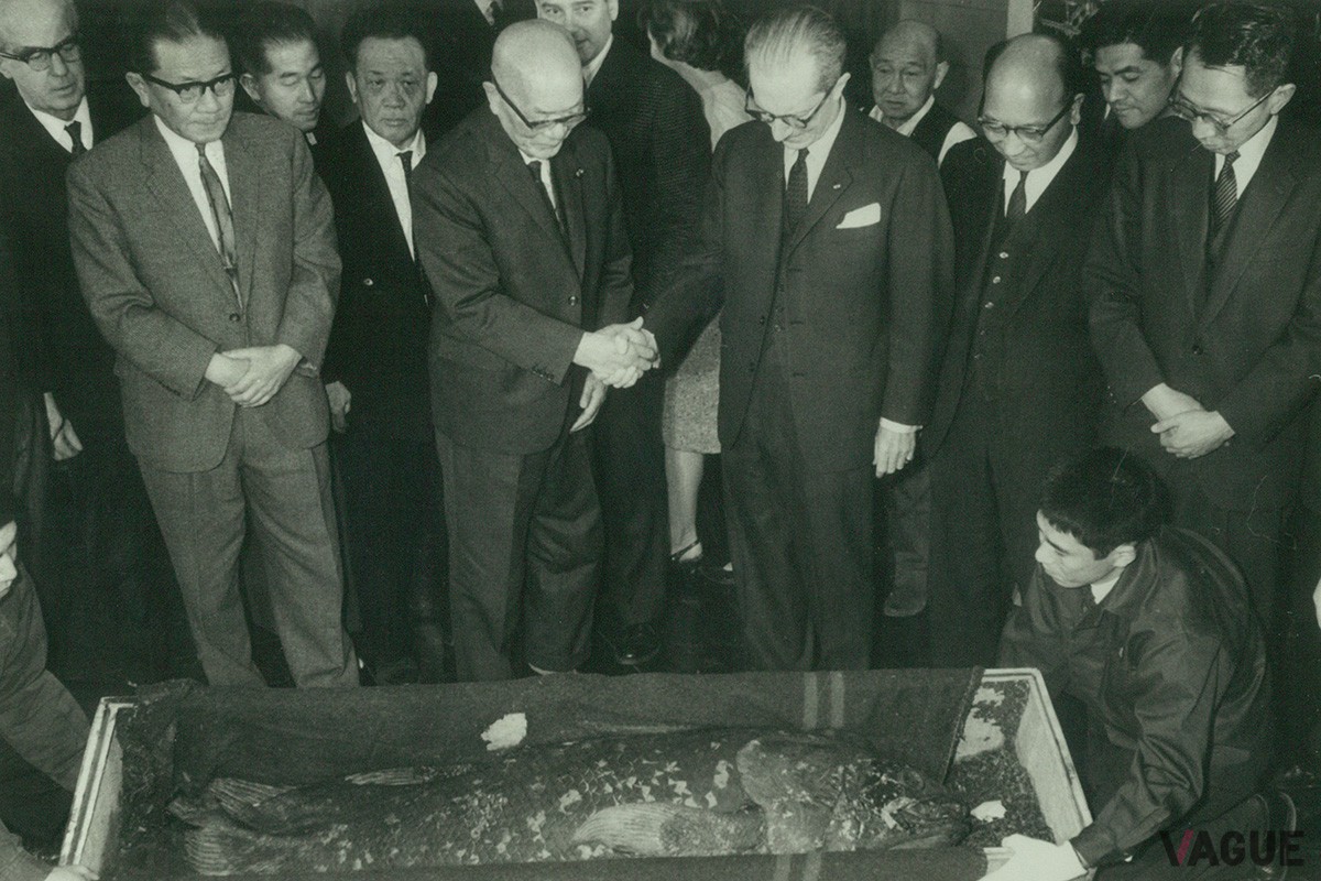 1967年にフランス政府から寄贈され、日本で初めて公開されたシーラカンスの標本を展示