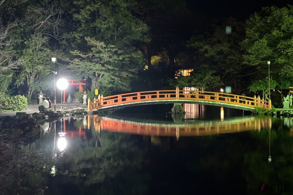人が集まる夜の湧玉池
