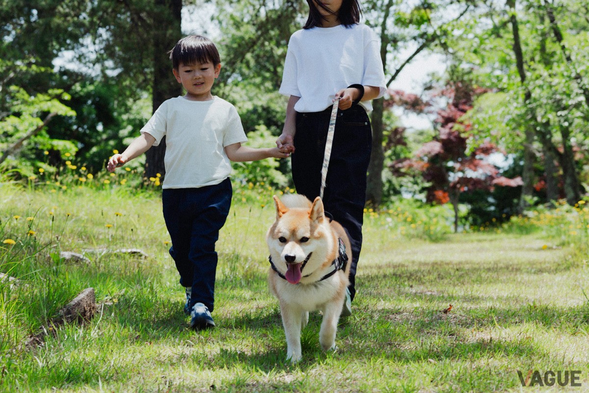 愛犬との楽しい時間をサポート