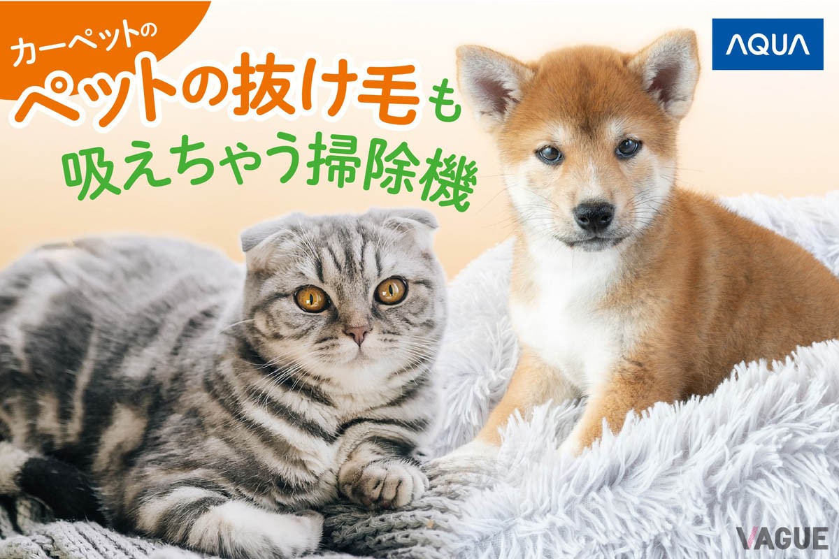 “ペットと暮らすあなたのためのクリーナー”をコンセプトにした、「PetPrimo」シリーズの軽量モデル「コードレスハンディクリーナー（品番：AQC-SD1R）」