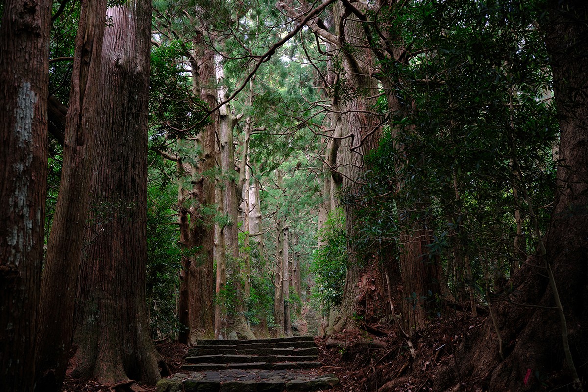 熊野古道