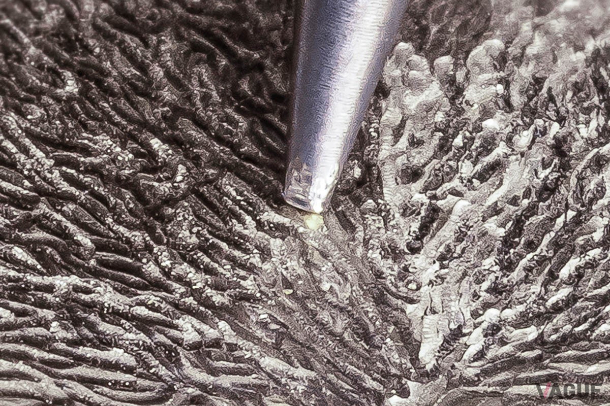 ダイヤルには18Kホワイトゴールドを贅沢に使用。手作業で一面に施した精巧なハンマートーンに熟練のクラフツマンシップが光る
