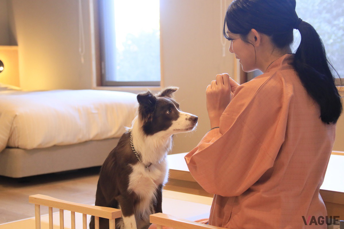 愛犬とほっこり旅