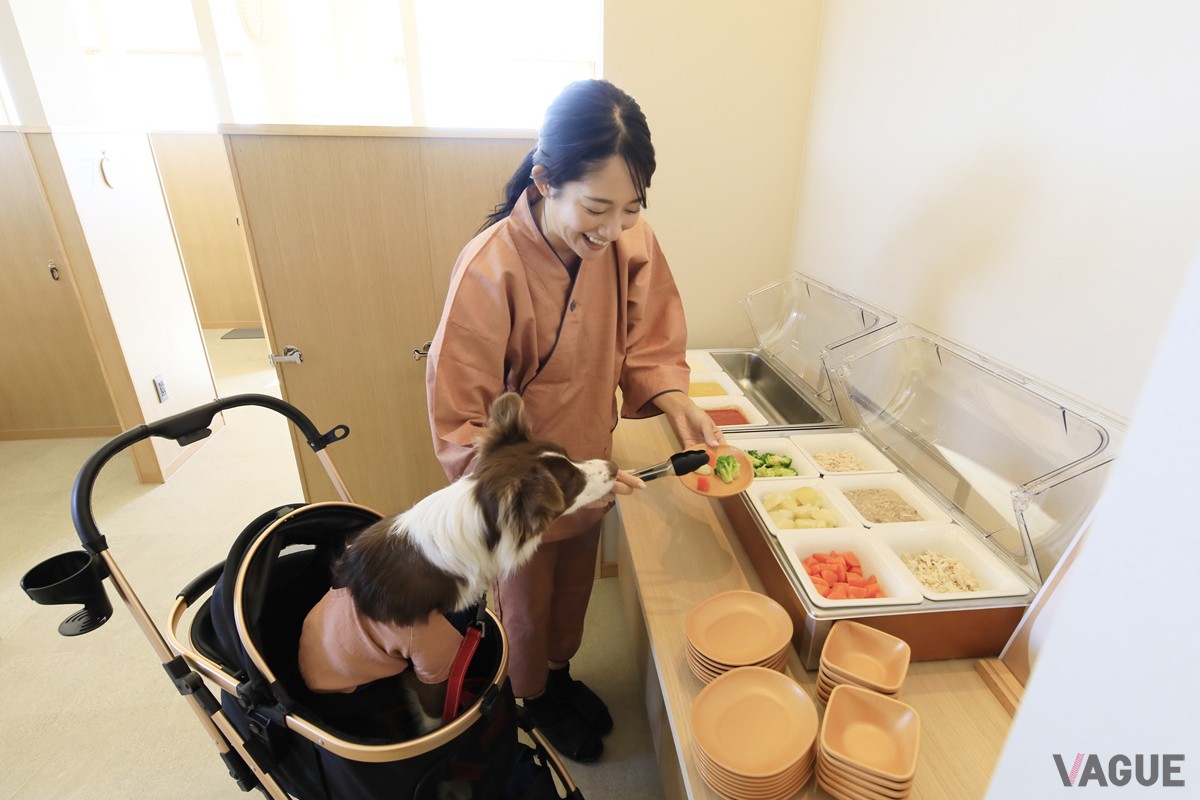 愛犬用のビュッフェ