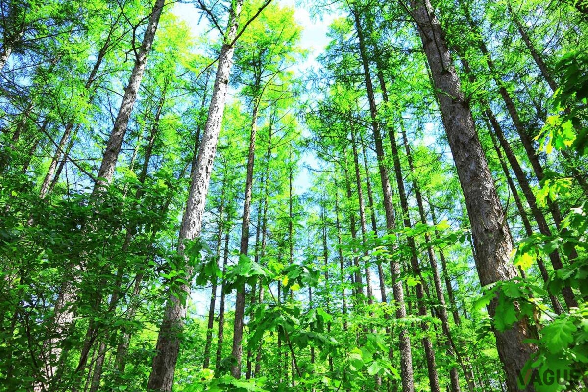 SDGsへの取り組み