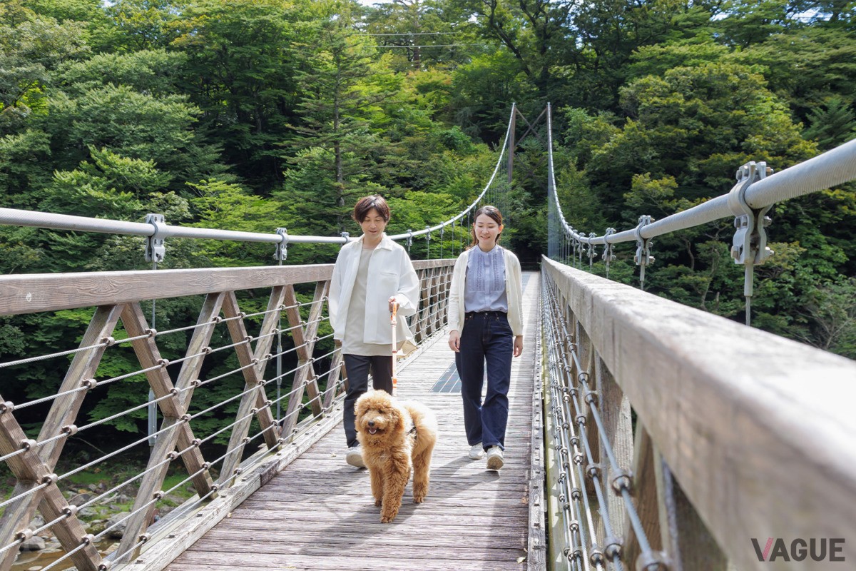 愛犬と一緒に楽しめる観光スポット