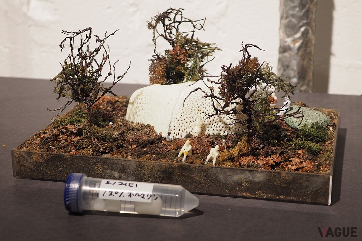 見た目は地味だが、きのこの菌糸を建築素材にしようというアイデアは、とても魅力的に感じた