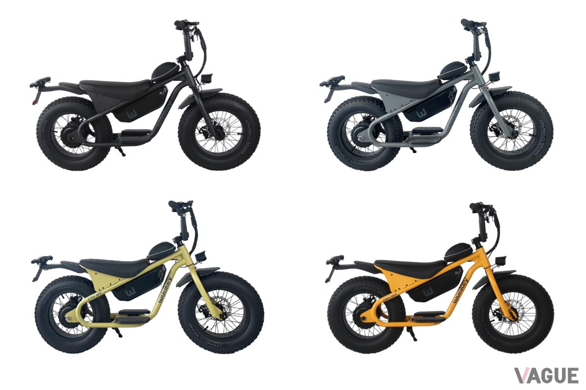 wonkey 48V：19万8000円