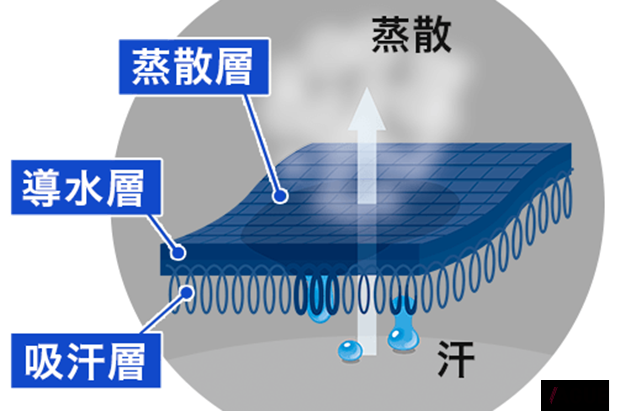生地断面画像