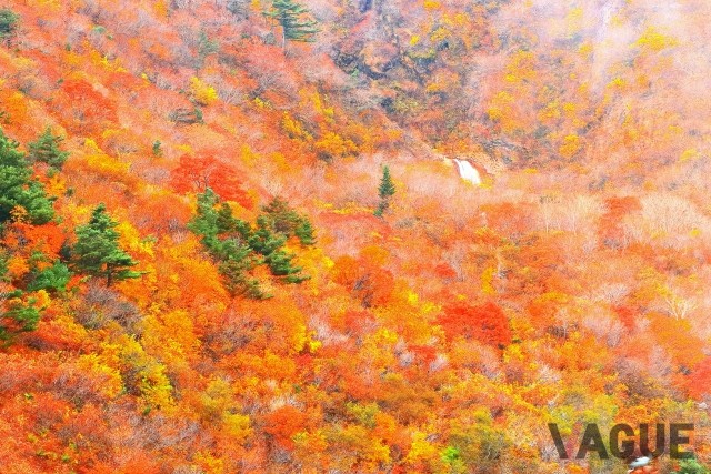 蔵王連峰の山々