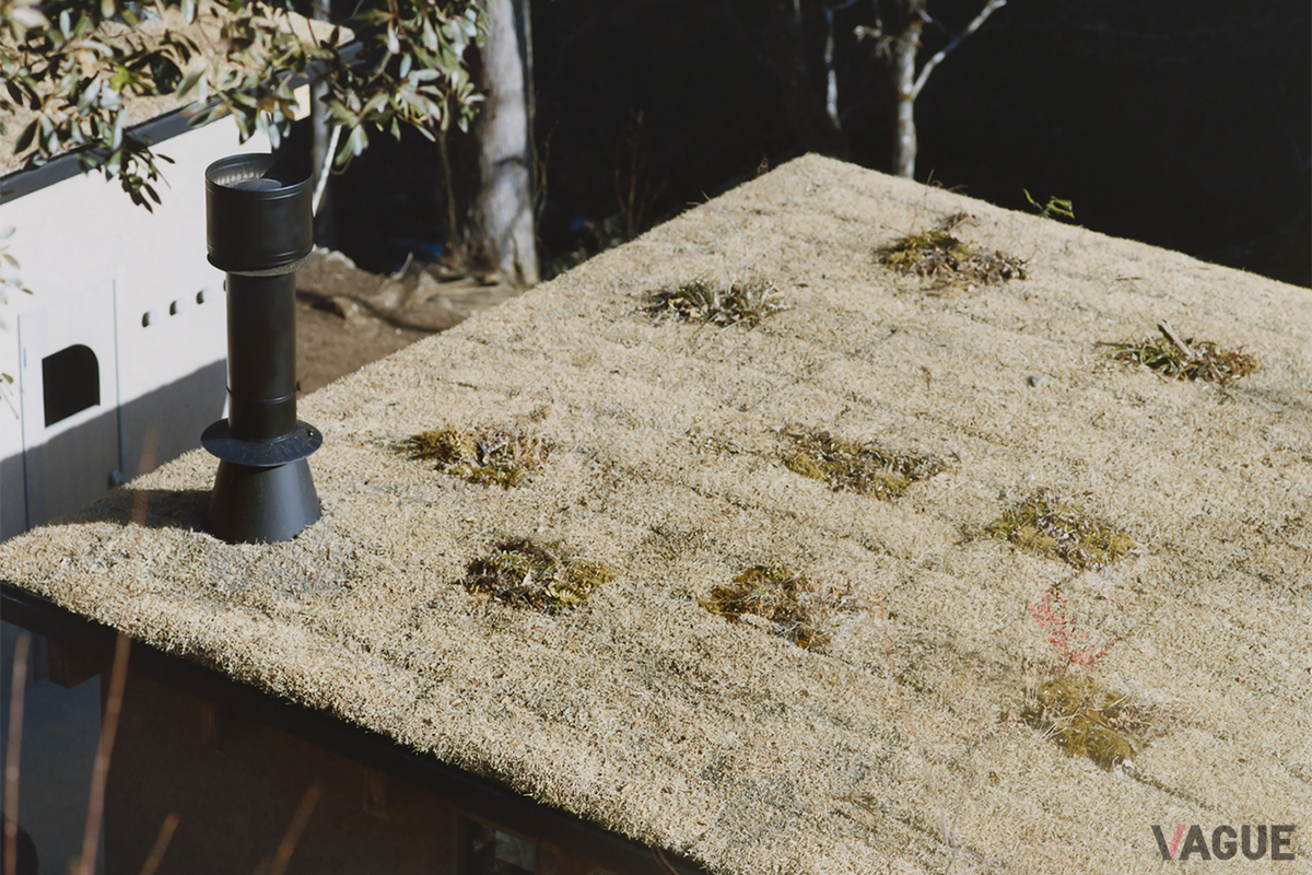 近隣の植物を植えた草屋根