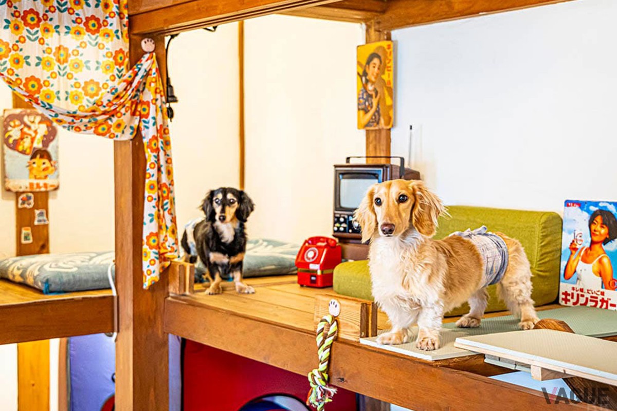 レトロな愛犬用フォトスポット