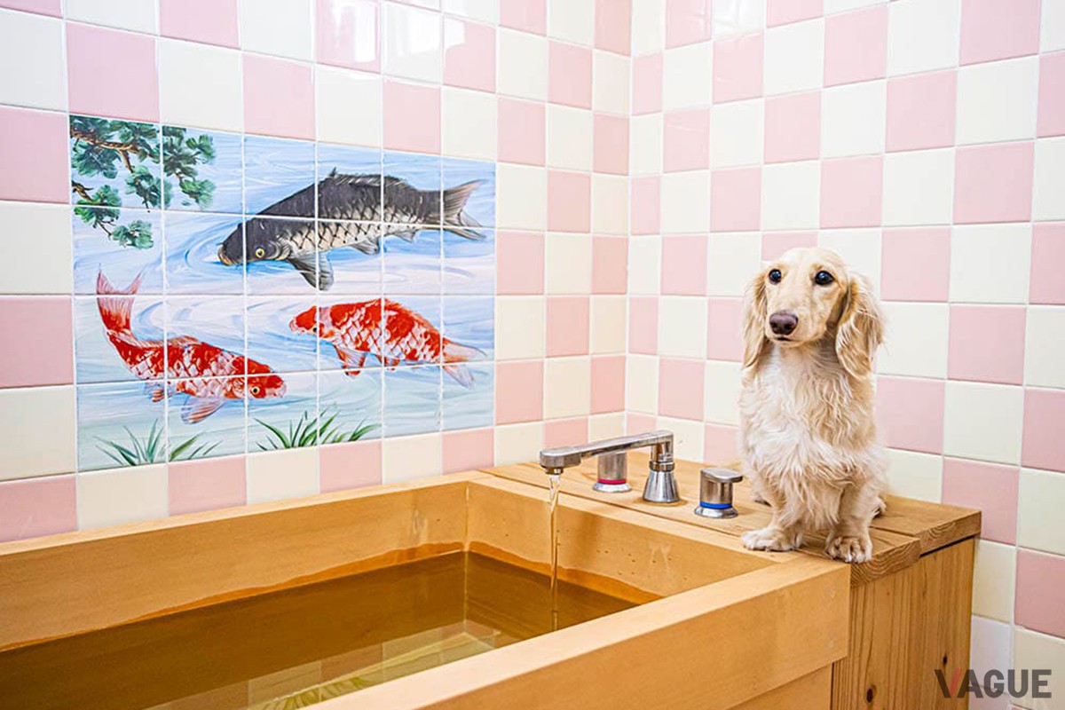 愛犬と入浴できる天然木の浴槽