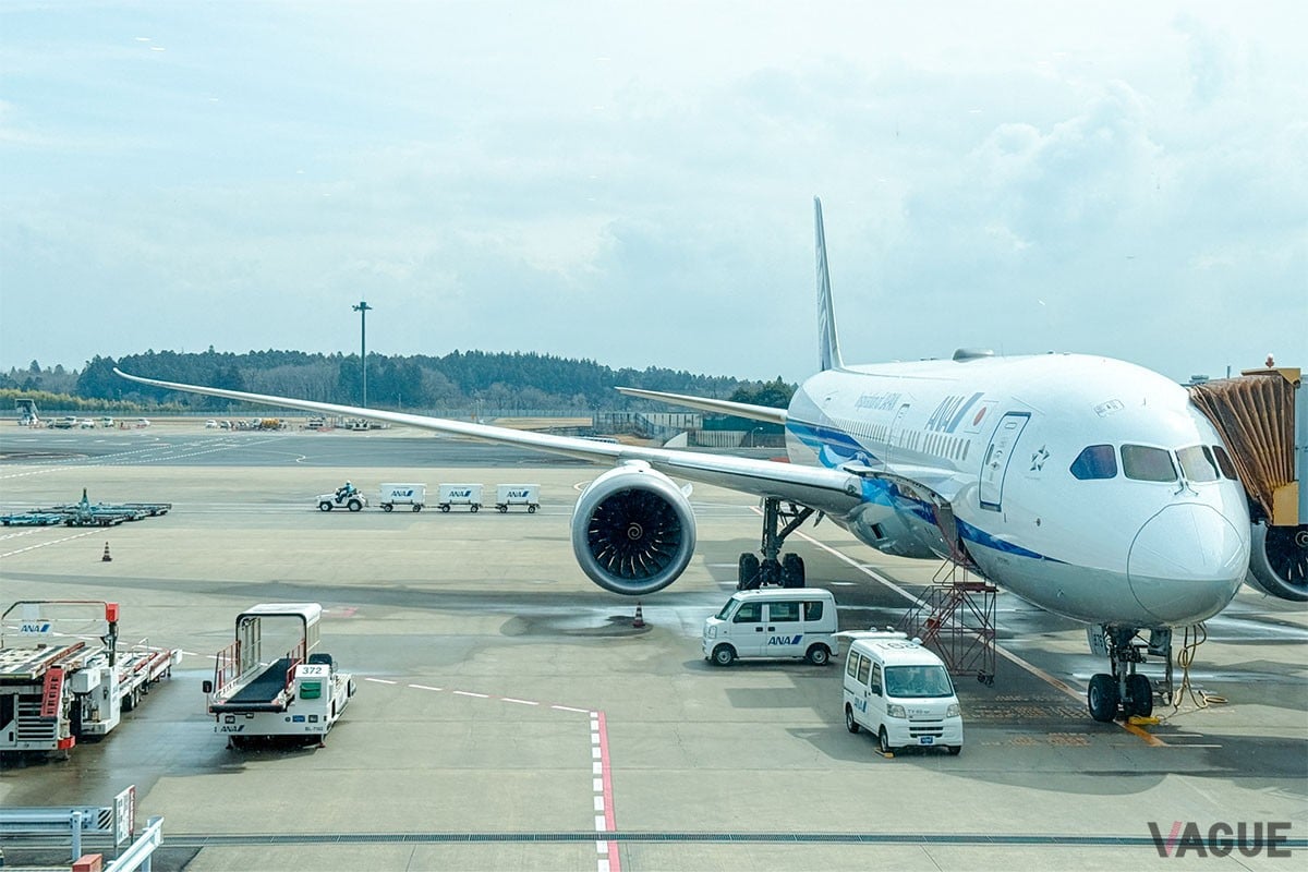 世界一幸せな動物」にすぐ会える!? まだ知られてないリゾート